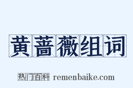 黄蔷薇组词是什么意思的图片